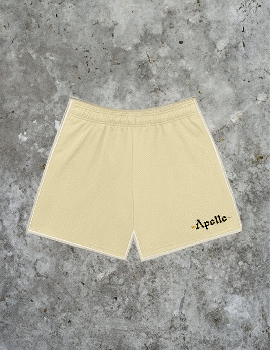 Apollo Mesh Shorts